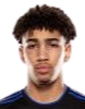 https://img.qdlld.cn/img/football/player/fb7fd3390bdc25307ce54843fe6472dd.png