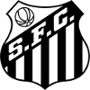 https://img.qdlld.cn/img/football/team/674171a5ca8e8fd3a9784bec35afb185.png