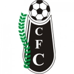 https://img.qdlld.cn/img/football/team/bfd82144fdcb8716ce0e1c2ea42a6ed5.png